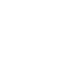 Aedis logo white